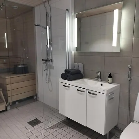 Santti - One Centrum With Sauna *